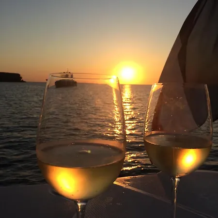 Superbe Catamaran Botel